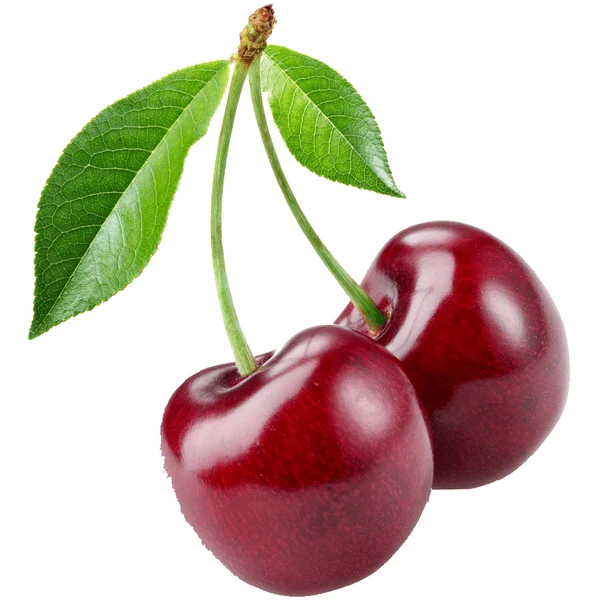 BabyJem Kersenpit Verwarmingsgordel Wit - Afbeelding 5