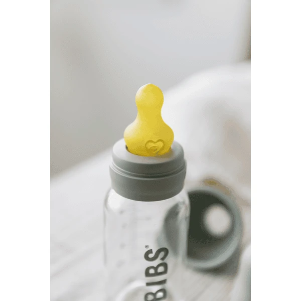 BIBS Babyflessen Compleet Set 225 Ml, Salie - Afbeelding 2